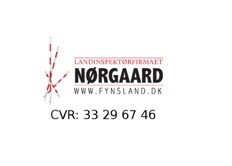 Nørgaard 538x344.jpg
