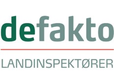 Defakto 538x334.jpg
